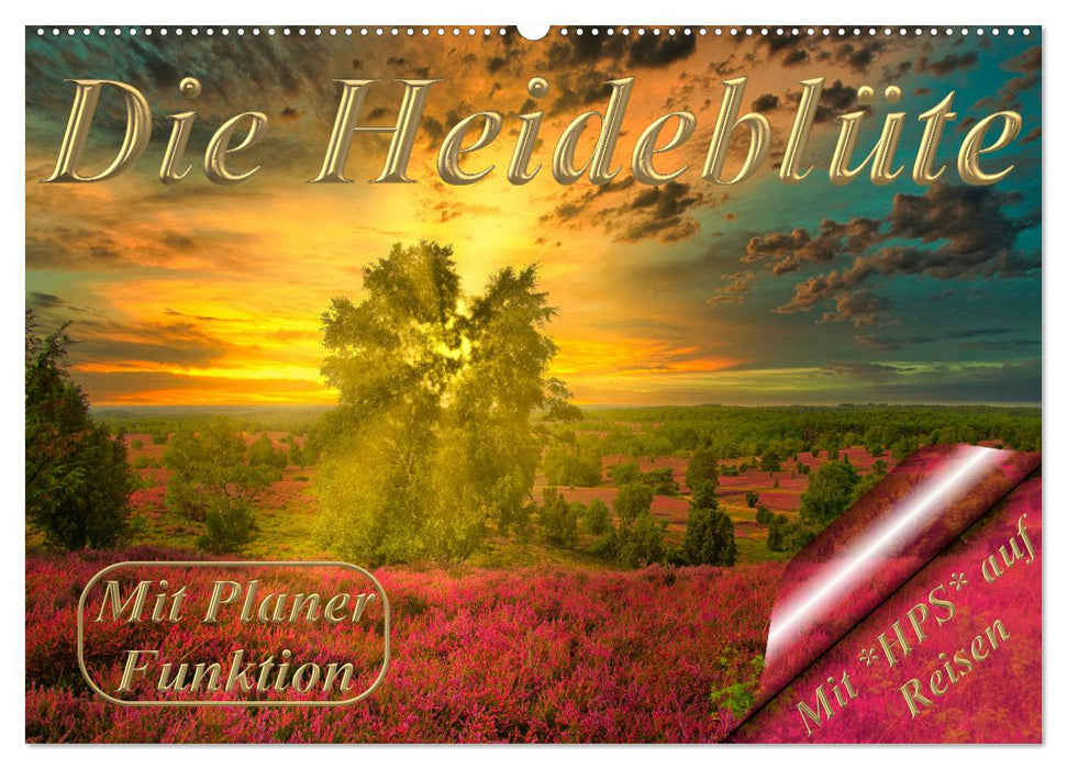 Die Heideblüte (CALVENDO Wandkalender 2027)
