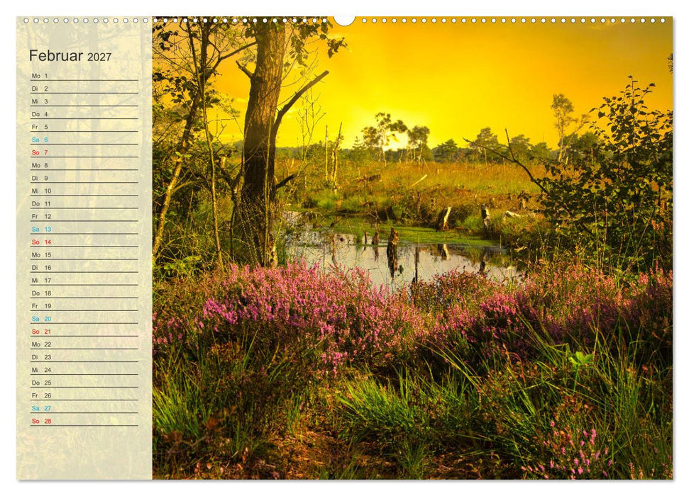 Die Heideblüte (CALVENDO Wandkalender 2027)