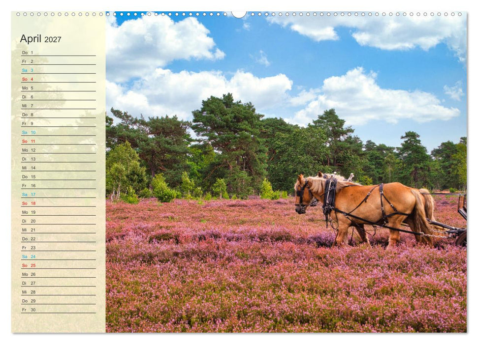 Die Heideblüte (CALVENDO Wandkalender 2027)