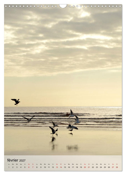La mouette (CALVENDO Calendrier mensuel 2027)