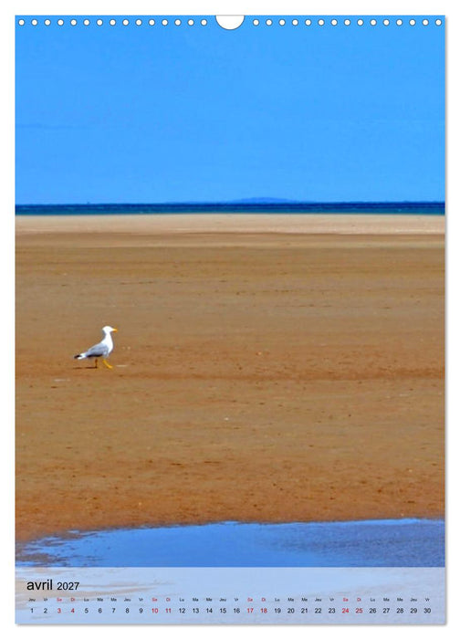 La mouette (CALVENDO Calendrier mensuel 2027)