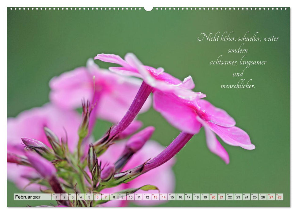 Meine kleine Auszeit (CALVENDO Wandkalender 2027)