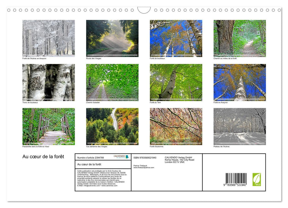 Au cœur de la forêt (CALVENDO Calendrier mensuel 2027)