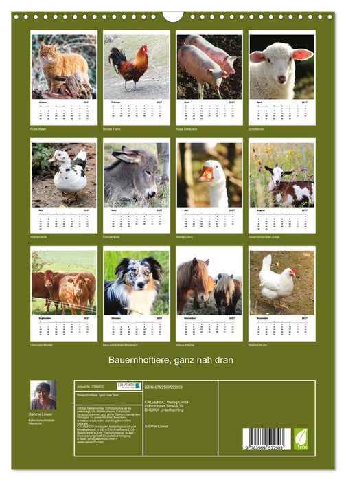 Bauernhoftiere, ganz nah dran (CALVENDO Wandkalender 2027)