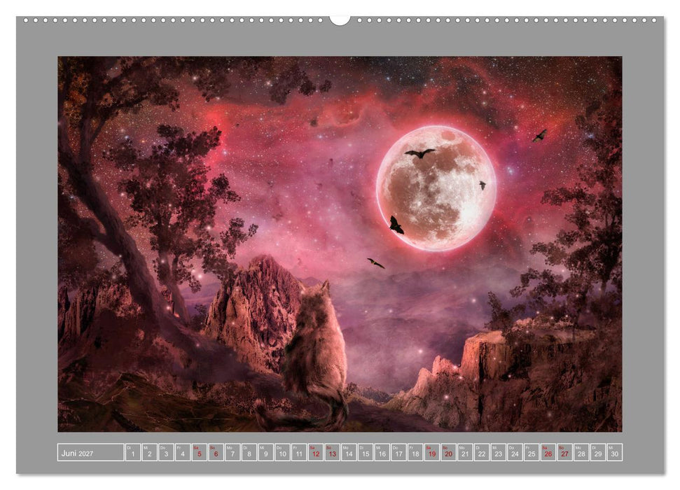 Kleine Streuner (CALVENDO Premium Wandkalender 2027)