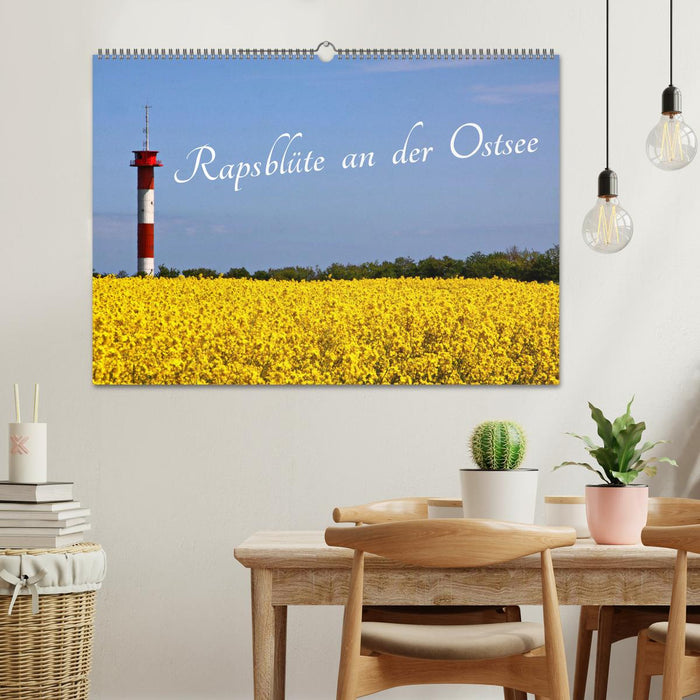 Rapsblüte an der Ostsee (CALVENDO Wandkalender 2027)