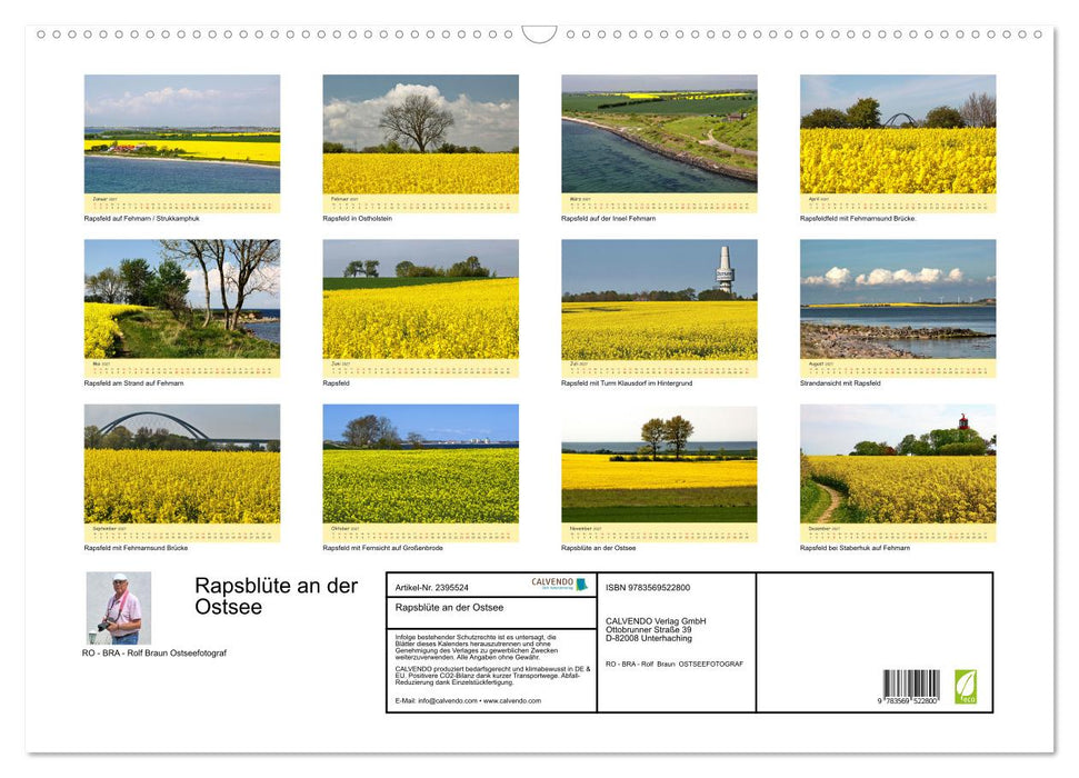 Rapsblüte an der Ostsee (CALVENDO Wandkalender 2027)