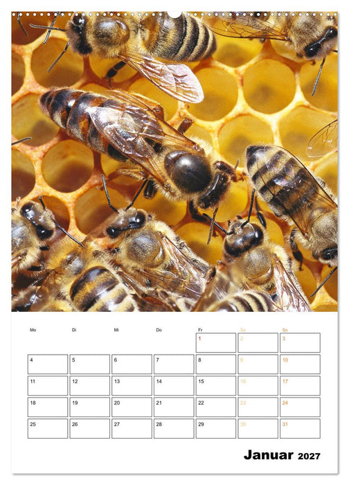 Der Imker: Mit Bienen auf Sammeltour (CALVENDO Premium Wandkalender 2027)