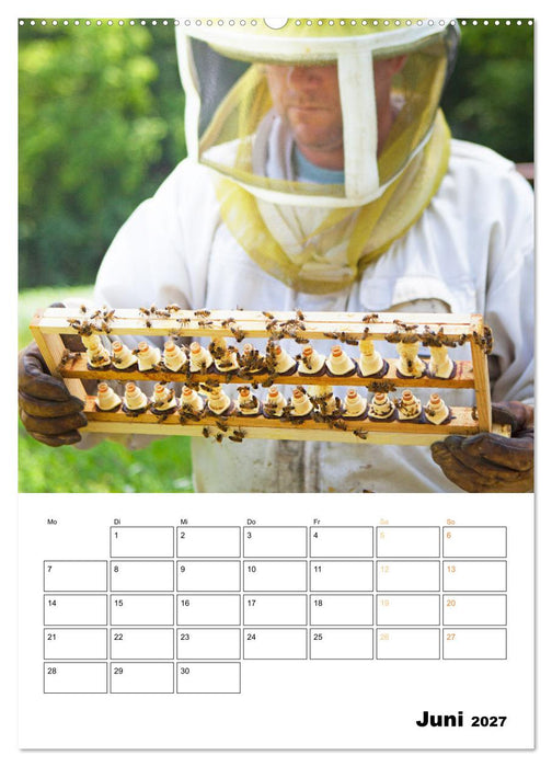 Der Imker: Mit Bienen auf Sammeltour (CALVENDO Premium Wandkalender 2027)