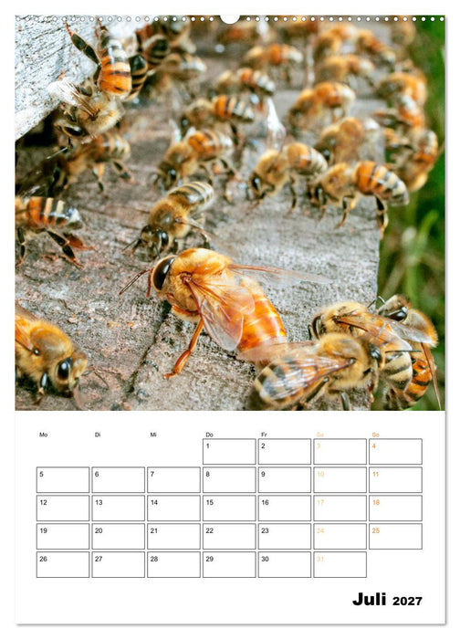 Der Imker: Mit Bienen auf Sammeltour (CALVENDO Premium Wandkalender 2027)
