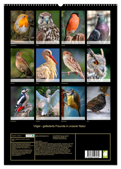 Vögel - gefiederte Freunde in unserer Natur (CALVENDO Wandkalender 2027)