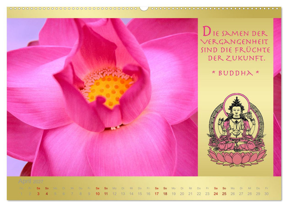 BUDDHA IM GLÜCK - Buddhistische Weisheiten (CALVENDO Wandkalender 2027)