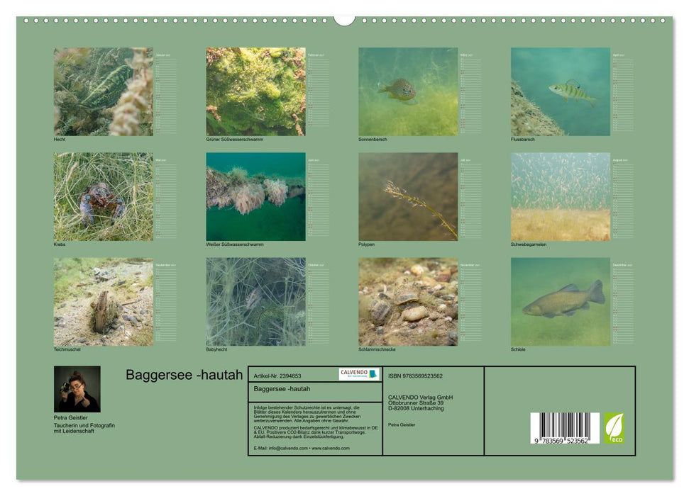 Baggersee -hautah (CALVENDO Premium Wandkalender 2027)