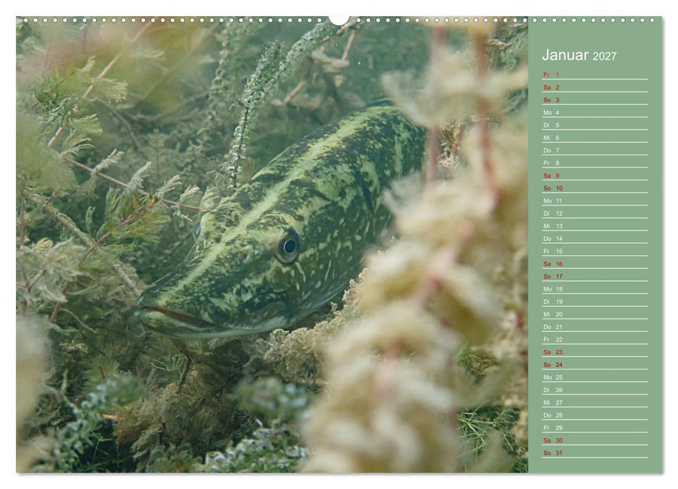 Baggersee -hautah (CALVENDO Premium Wandkalender 2027)