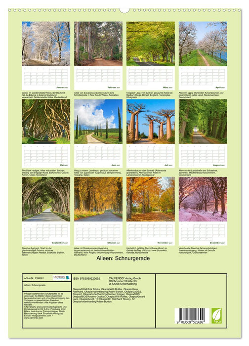 Alleen: Schnurgerade (CALVENDO Premium Wandkalender 2027)