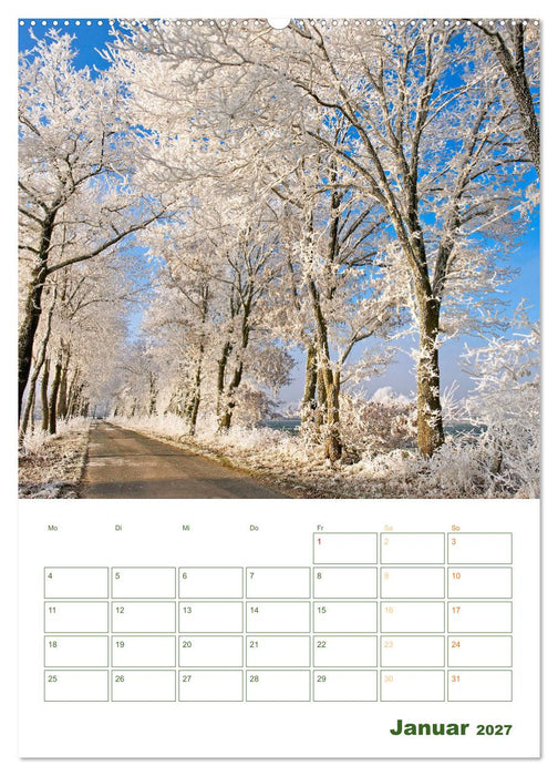 Alleen: Schnurgerade (CALVENDO Premium Wandkalender 2027)