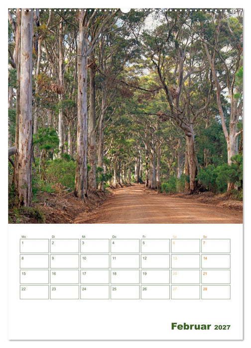 Alleen: Schnurgerade (CALVENDO Premium Wandkalender 2027)