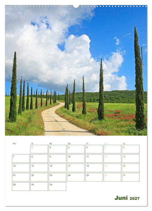 Alleen: Schnurgerade (CALVENDO Premium Wandkalender 2027)