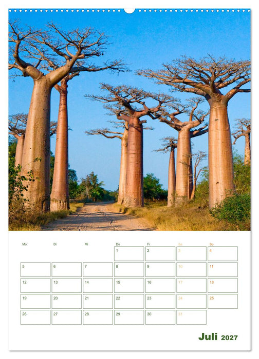 Alleen: Schnurgerade (CALVENDO Premium Wandkalender 2027)