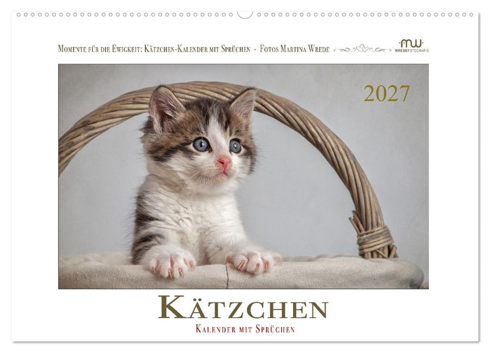 Kätzchen-Kalender mit Sprüchen (CALVENDO Wandkalender 2027)