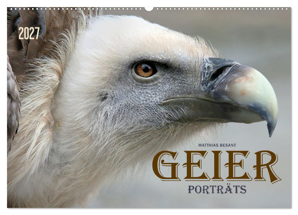 GEIERPORTRÄTS (CALVENDO Wandkalender 2027)