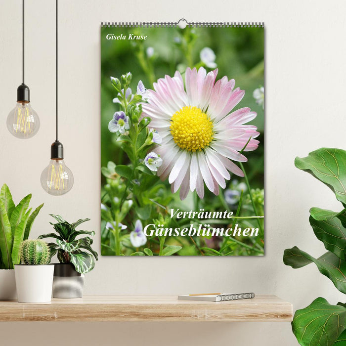 Verträumte Gänseblümchen (CALVENDO Wandkalender 2027)