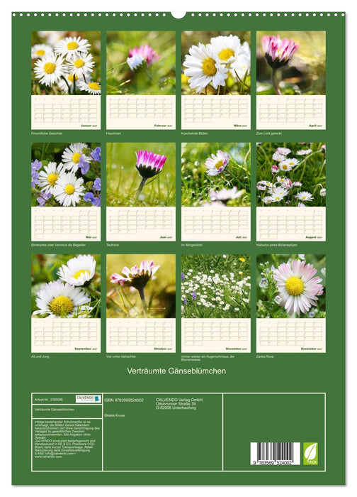 Verträumte Gänseblümchen (CALVENDO Wandkalender 2027)