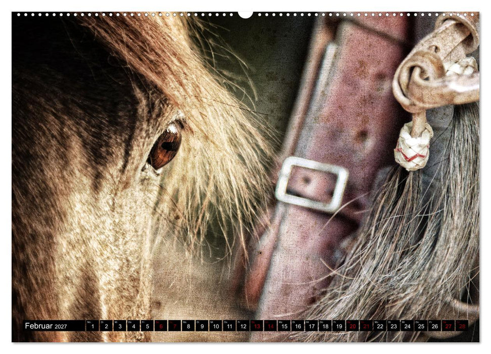 Magie Wilder Westen (CALVENDO Wandkalender 2027)