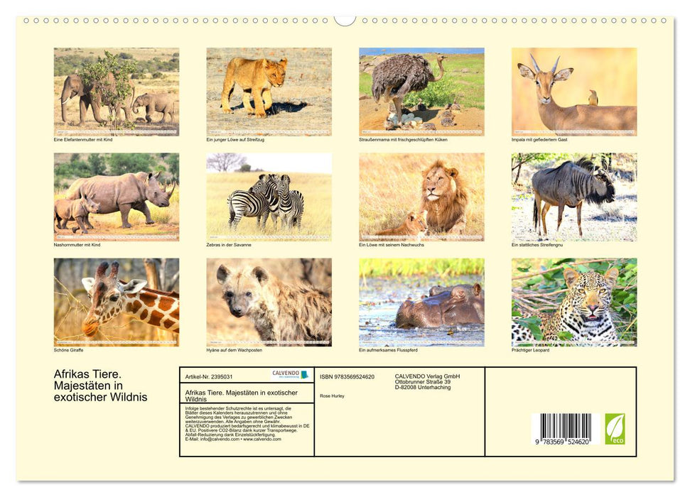 Afrikas Tiere. Majestäten in exotischer Wildnis (CALVENDO Wandkalender 2027)