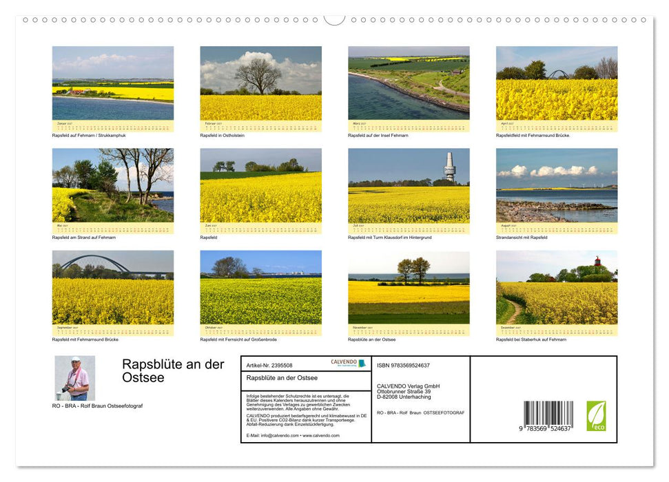 Rapsblüte an der Ostsee (CALVENDO Premium Wandkalender 2027)
