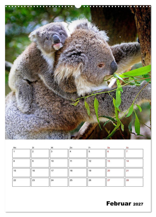 Australiens faszinierende Tierwelt (CALVENDO Premium Wandkalender 2027)