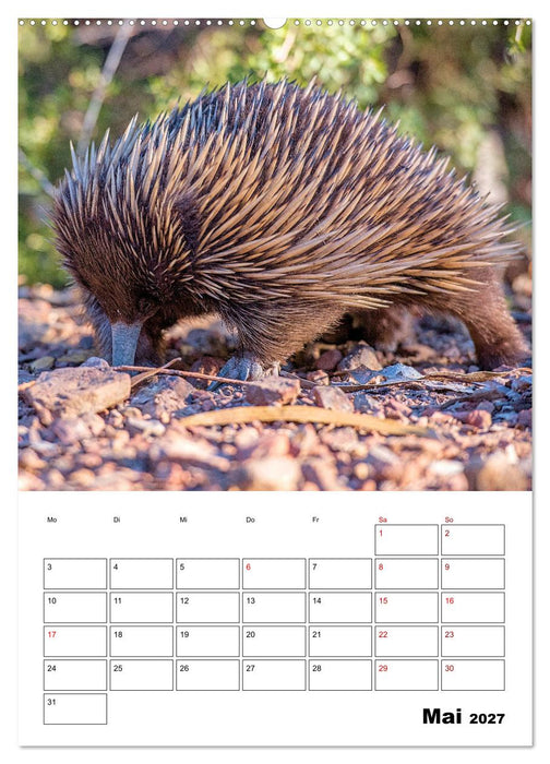 Australiens faszinierende Tierwelt (CALVENDO Premium Wandkalender 2027)
