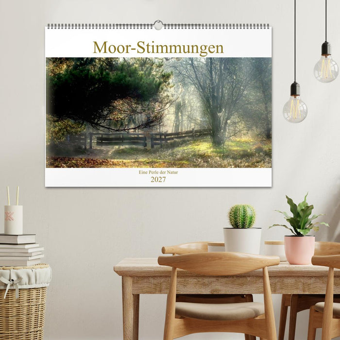 Moor-Stimmungen (CALVENDO Wandkalender 2027)