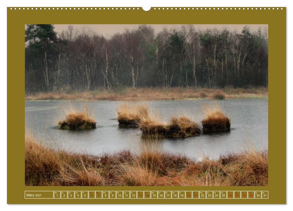 Moor-Stimmungen (CALVENDO Wandkalender 2027)