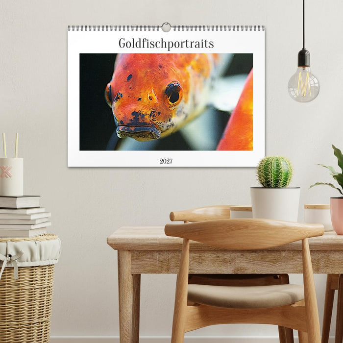 Goldfischportraits (CALVENDO Wandkalender 2027)