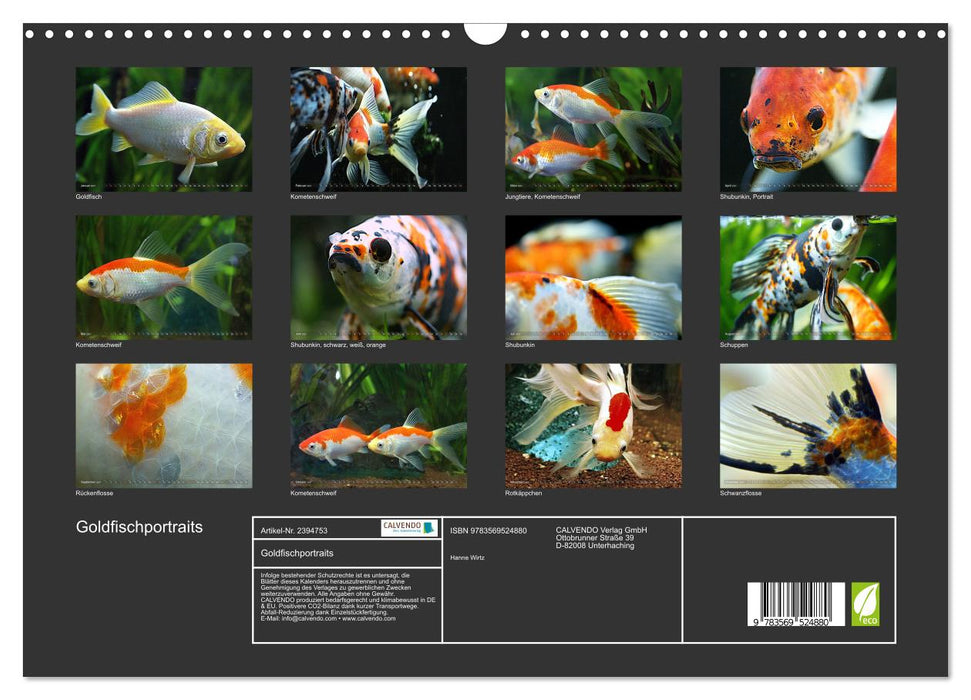 Goldfischportraits (CALVENDO Wandkalender 2027)