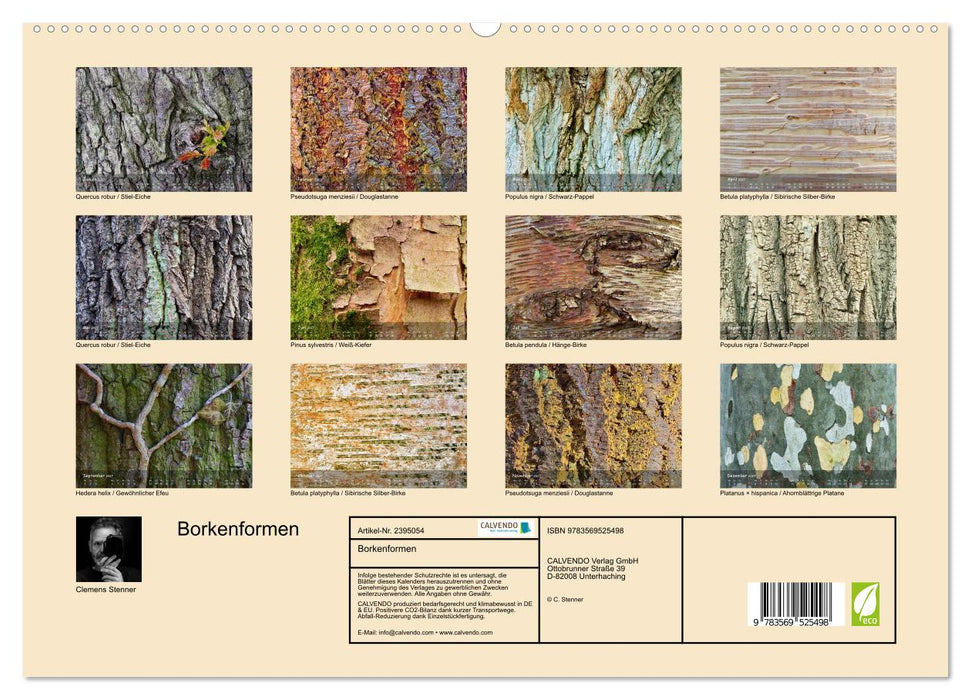 Borkenformen (CALVENDO Wandkalender 2027)