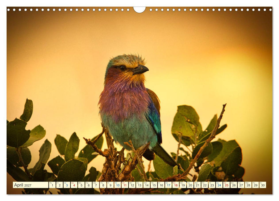 Fantastic Kenya (CALVENDO Monthly Calendar 2027)