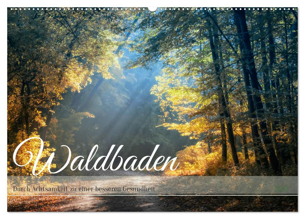Waldbaden - Durch Achtsamkeit zu einer besseren Gesundheit (CALVENDO Wandkalender 2027)