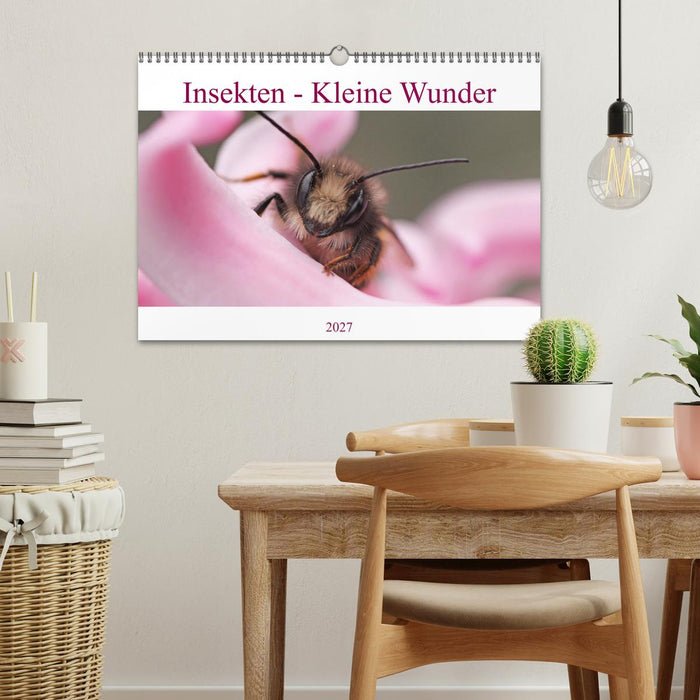 Insekten - Kleine Wunder (CALVENDO Wandkalender 2027)