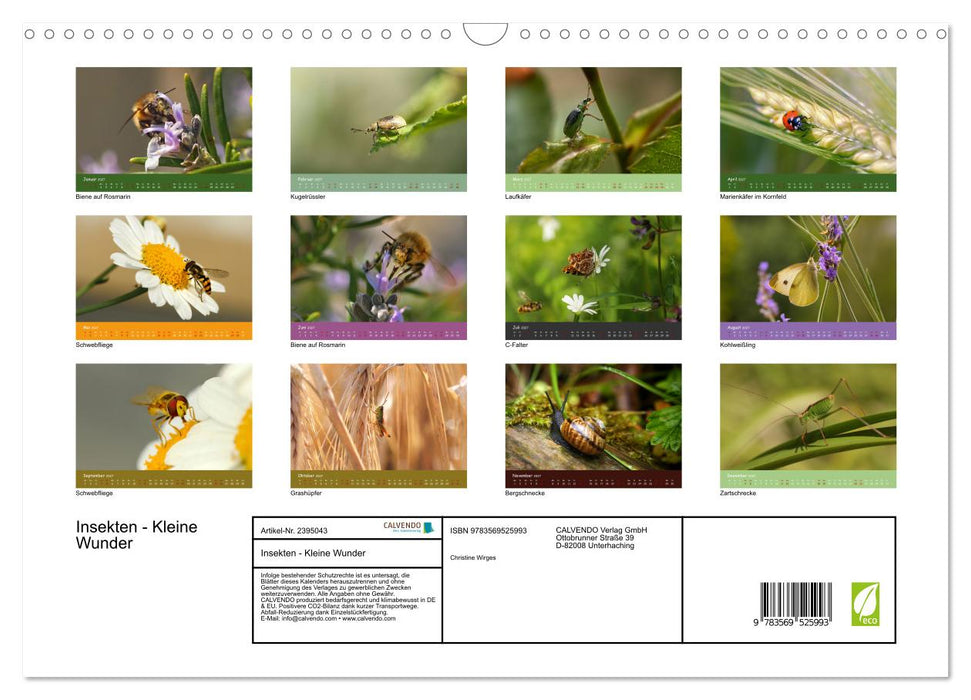 Insekten - Kleine Wunder (CALVENDO Wandkalender 2027)