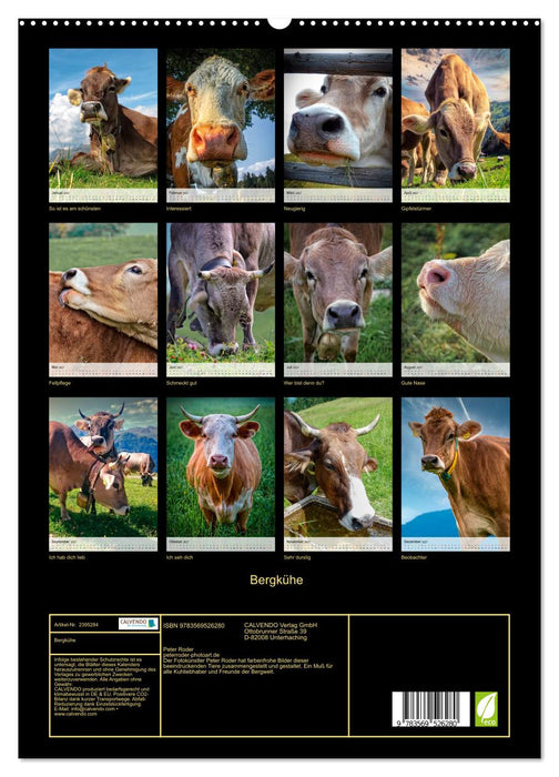 Bergkühe (CALVENDO Wandkalender 2027)
