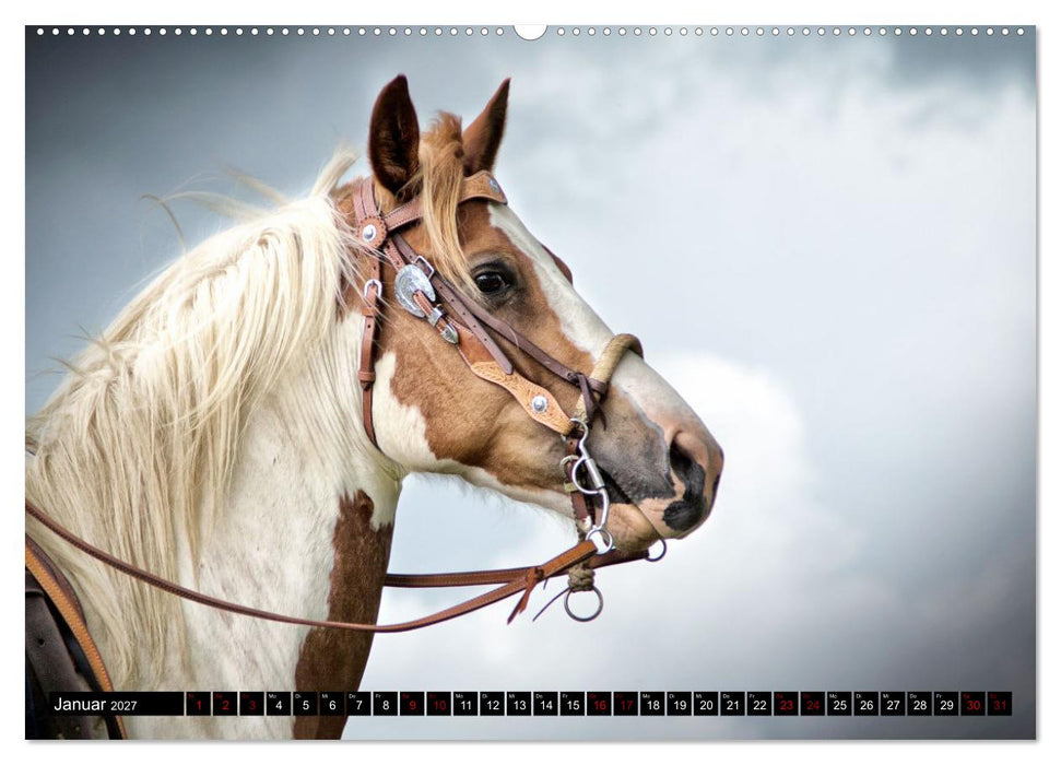 Faszination Westernpferde (CALVENDO Premium Wandkalender 2027)