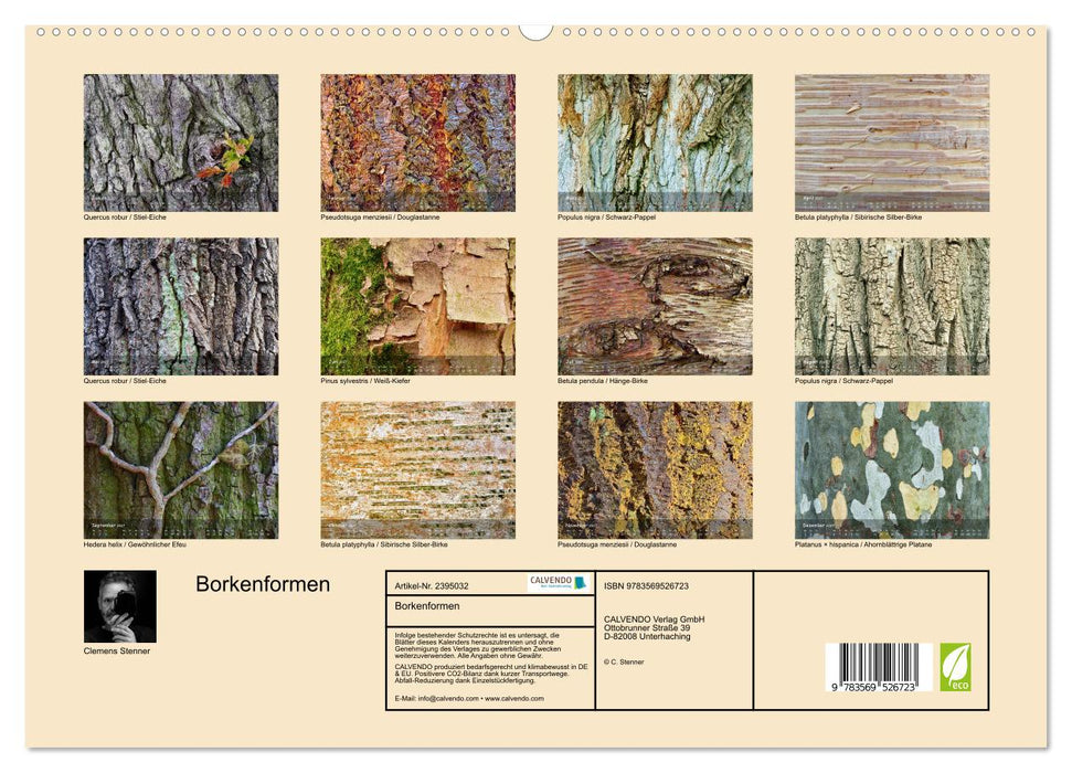 Borkenformen (CALVENDO Premium Wandkalender 2027)