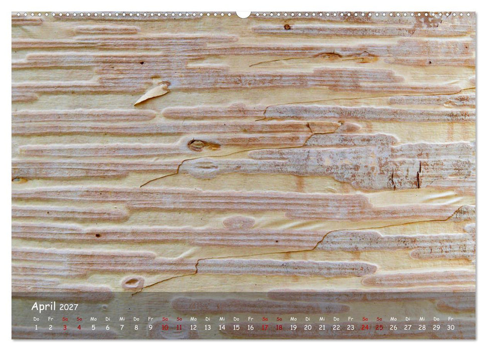 Borkenformen (CALVENDO Premium Wandkalender 2027)
