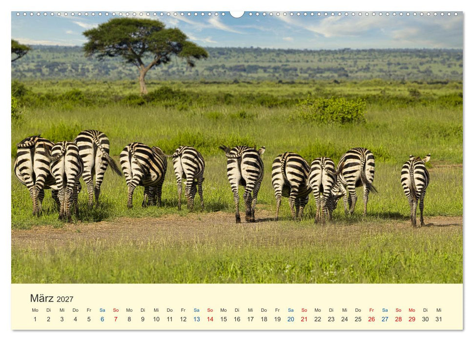 Safari in Kenia (CALVENDO Wandkalender 2027)