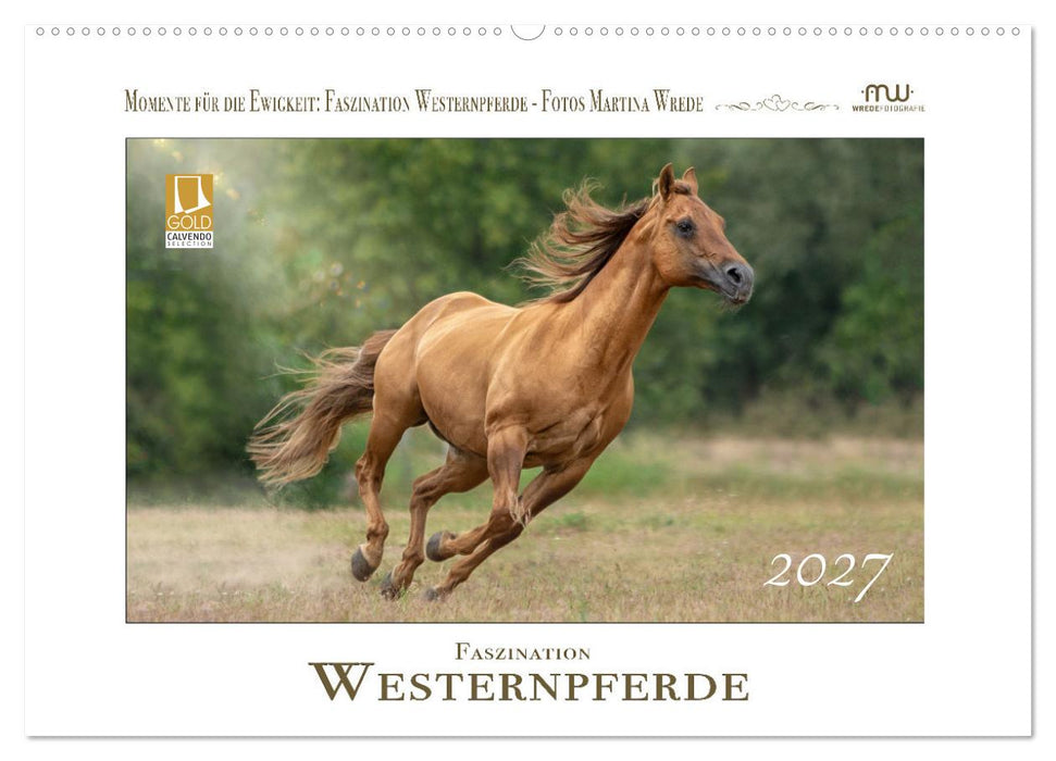 Faszination Westernpferde (CALVENDO Wandkalender 2027)