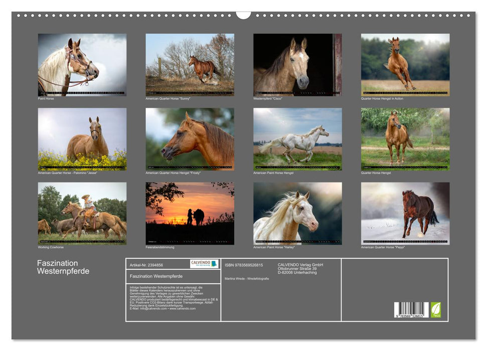 Faszination Westernpferde (CALVENDO Wandkalender 2027)