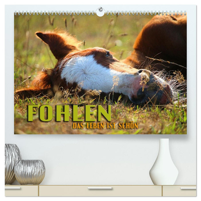 Fohlen - das Leben ist schön (CALVENDO Premium Wandkalender 2027)