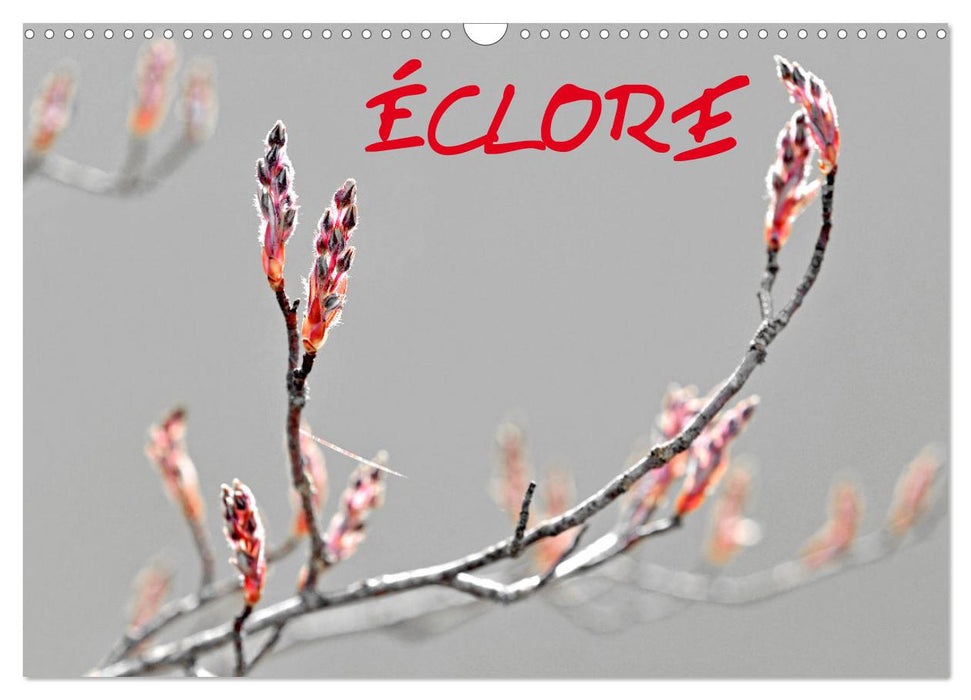 ÉCLORE (CALVENDO Calendrier mensuel 2027)